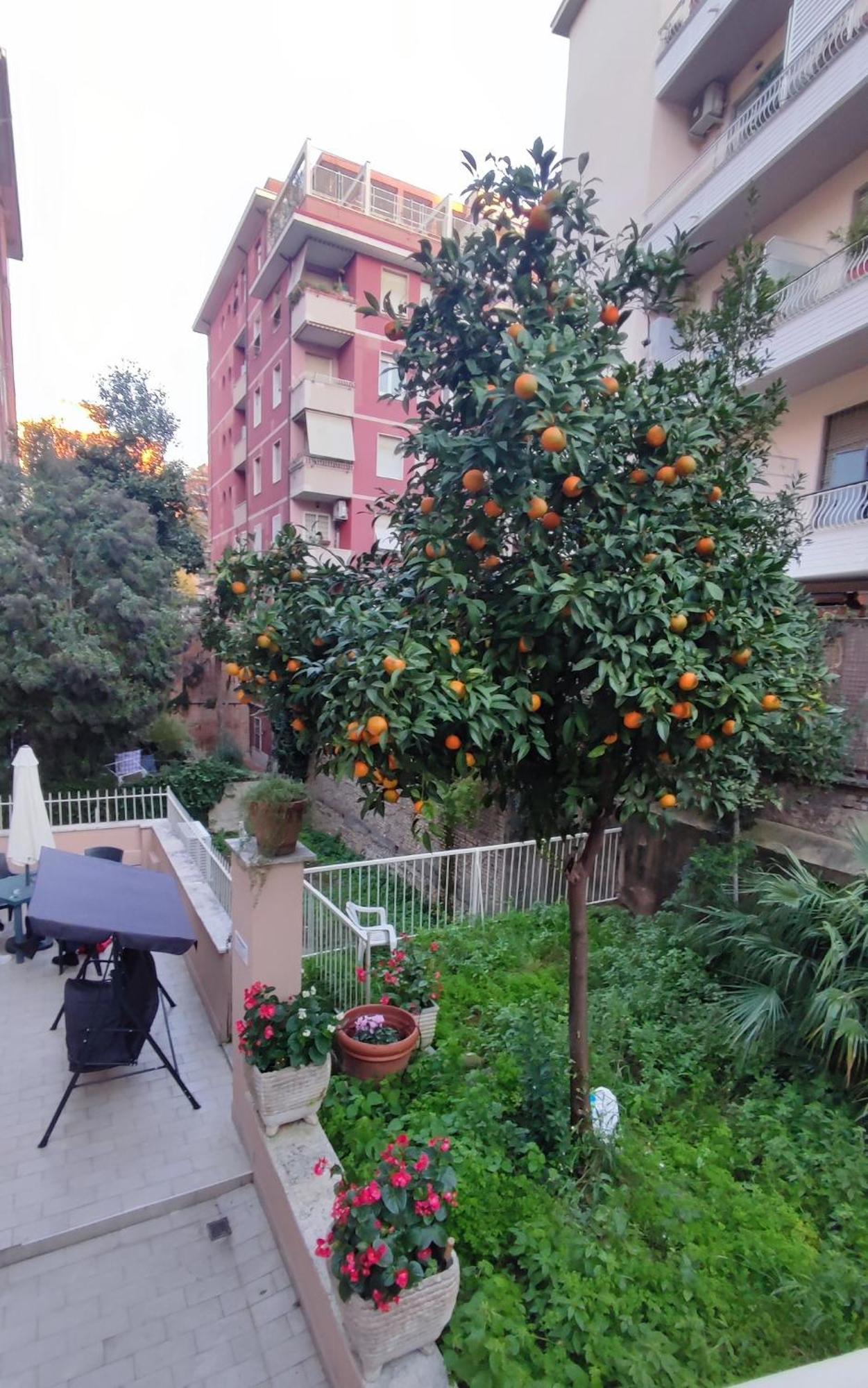 Vatican Green Garden ローマ エクステリア 写真