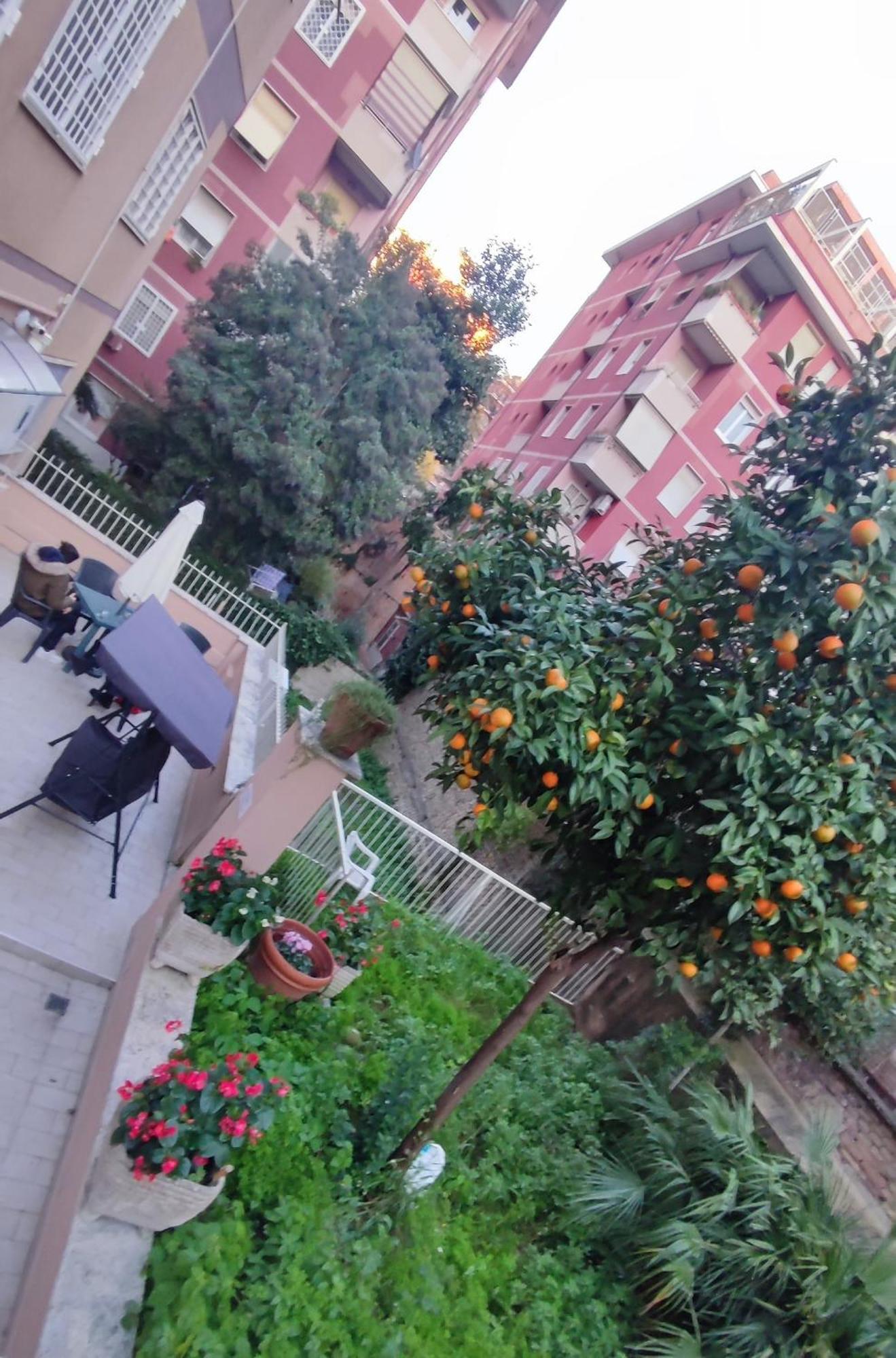 Vatican Green Garden ローマ エクステリア 写真